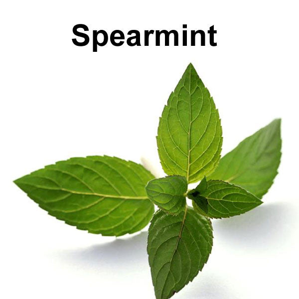 Spearmint Black Label