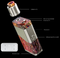 Luxotic NC + Guillotine V2 Kit By Wismec